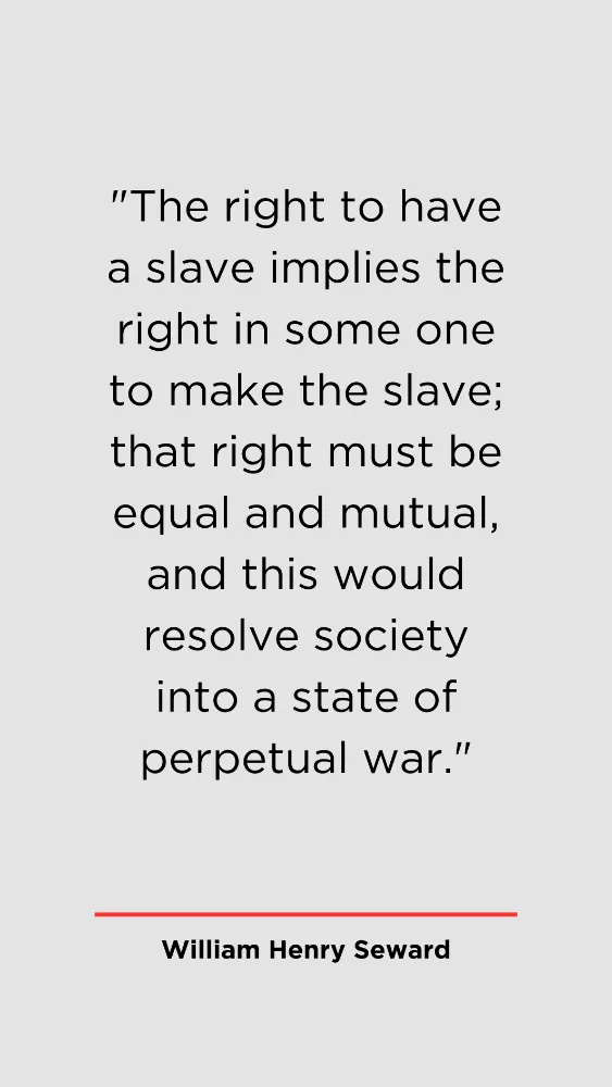 William Henry Seward: Abolitionist Movement in the 19th Century