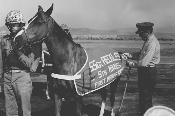 Sergeant Reckless
