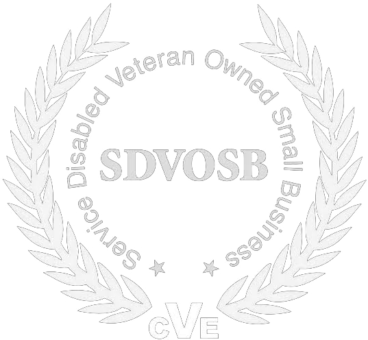 Service-Disabled Veteran-Owned Small Business image